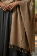 Camel Warmth